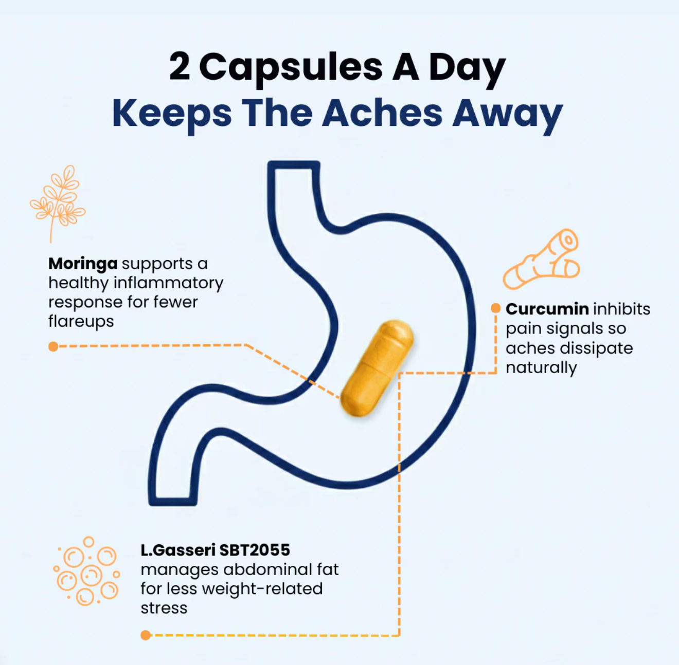 Artivex+  Best Natural Menopause Probiotic